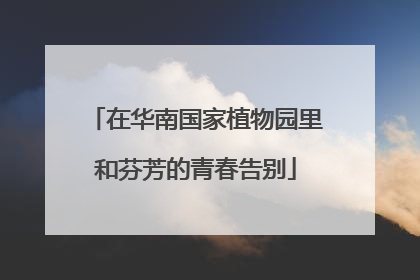 在华南国家植物园里和芬芳的青春告别